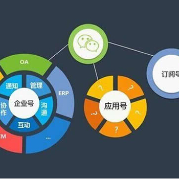 濟南路行網(wǎng)絡(luò)軟件開發(fā) 企業(yè)數(shù)字化轉(zhuǎn)型中的得力伙伴